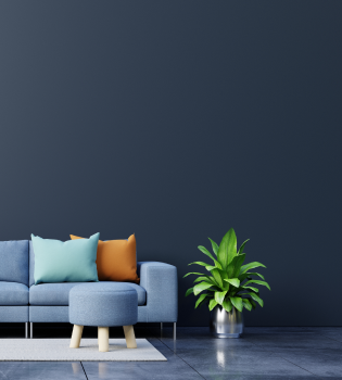 Start Your Interior Project With Us